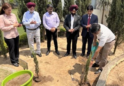 Tree Planting by GNAE